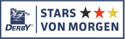 logo derby stars logo derby stars